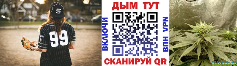 Шишки марихуана Amnesia  Юхнов 